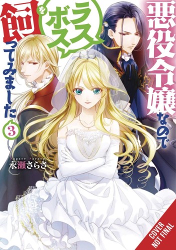 VILLAINESS TAMING THE FINAL BOSS NOVEL SC VOL 03 (9781975334093)