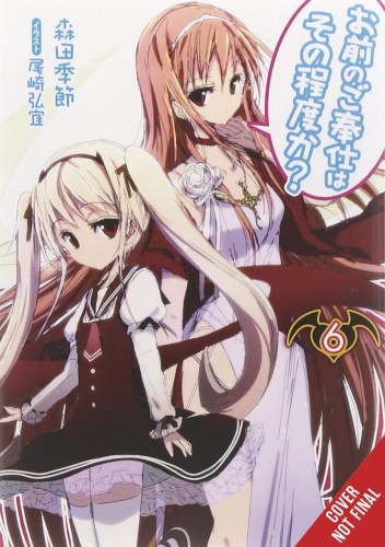 YOU CALL THAT SERVICE LIGHT NOVEL SC VOL 06 (9781975325084)