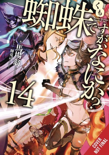 SO IM SPIDER SO WHAT LIGHT NOVEL SC VOL 14 (9781975341756)