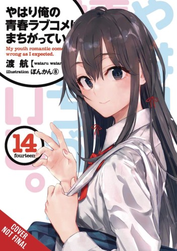 YOUTH ROMANTIC COMEDY WRONG EXPECTED NOVEL SC VOL 14 (9781975325015)