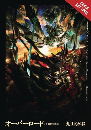 OVERLORD LIGHT NOVEL HC VOL 14 (9781975323806)