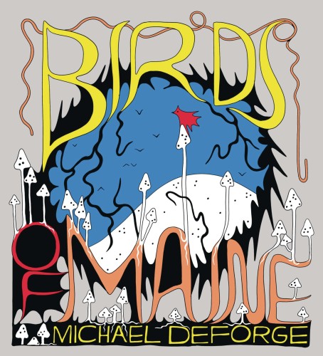 BIRDS OF MAINE HC (9781770465664)