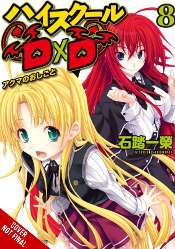 HIGH SCHOOL DXD LIGHT NOVEL SC VOL 08 (9781975312398)