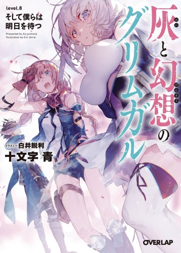 GRIMGAR OF FANTASY & ASH LIGHT NOVEL 08 (9781626929111)