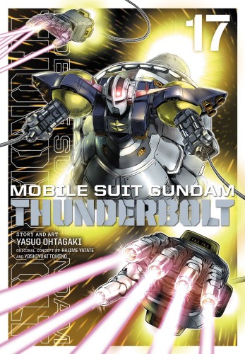 MOBILE SUIT GUNDAM THUNDERBOLT GN VOL 17 (9781974726530)