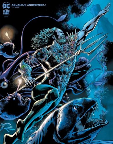 AQUAMAN ANDROMEDA #1 (OF 3) CVR B BRYAN HITCH VAR