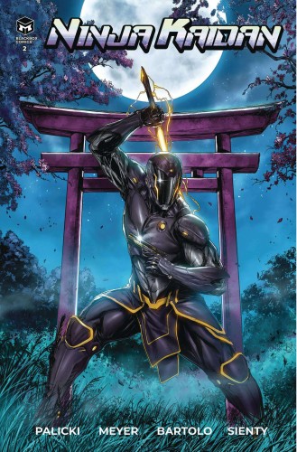 NINJA KAIDAN #2 (OF 5) CVR B GAY