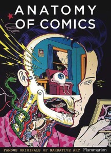ANATOMY OF COMICS FAMOUS ORIGINALS OF NARRATIVE ART SC
