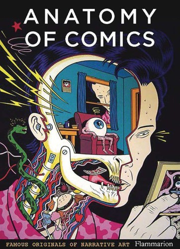 ANATOMY OF COMICS FAMOUS ORIGINALS OF NARRATIVE ART SC (9782080281876)