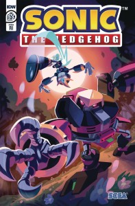 SONIC THE HEDGEHOG ANNUAL 2022 CVR C 10 COPY INCV