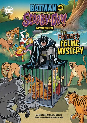 BATMAN SCOOBY DOO MYSTERIES FRENZIED FELINE MYSTERY (9781666335217)