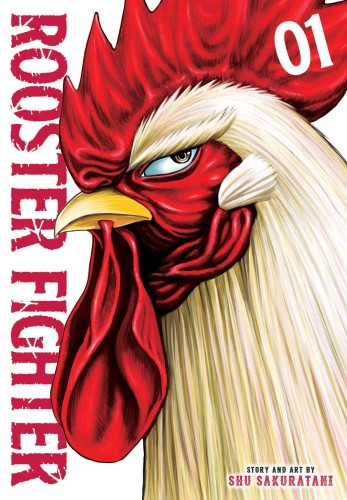 ROOSTER FIGHTER GN VOL 01 (9781974729845)