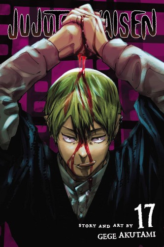 JUJUTSU KAISEN GN VOL 17 (9781974732333)