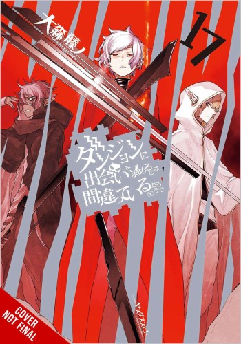 IS WRONG PICK UP GIRLS DUNGEON NOVEL SC VOL 17 (9781975345655)