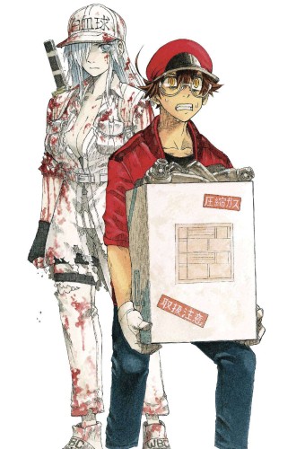 CELLS AT WORK CODE BLACK GN VOL 08 (9781646512201)