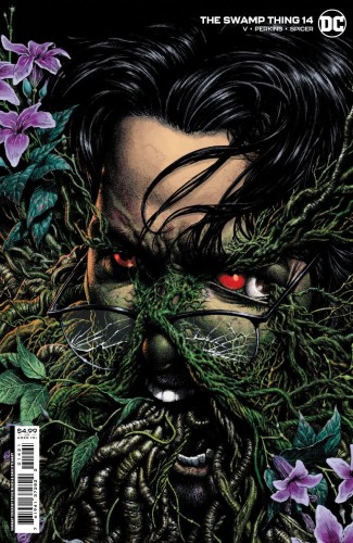 SWAMP THING #14 (OF 16) CVR B STEVE BEACH CARD STOCK VAR