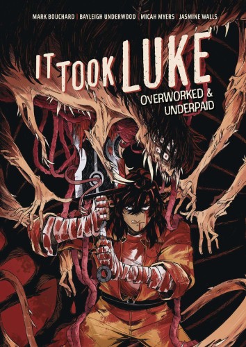 IT TOOK LUKE HC (9781637150849)