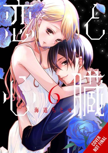 LOVE & HEART GN VOL 06 (9781975350222)