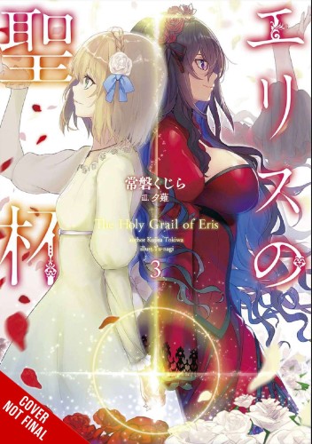 HOLY GRAIL OF ERIS LIGHT NOVEL SC VOL 03 (9781975339616)