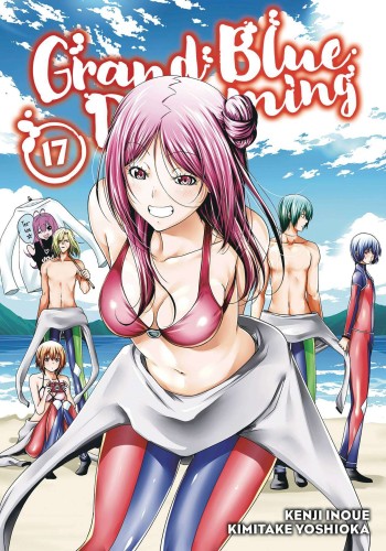 GRAND BLUE DREAMING GN VOL 17 (9781646514038)