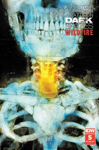 DARK SPACES WILDFIRE #5 CVR D SIMMONDS