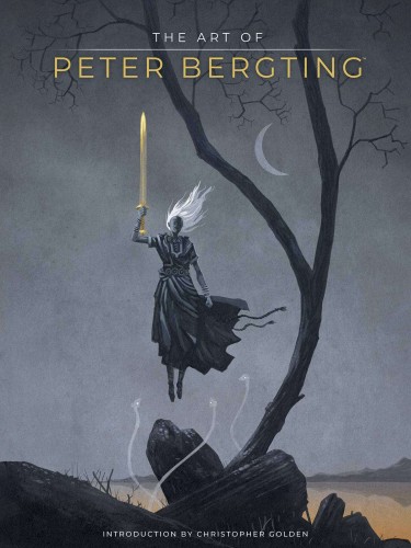 ART OF PETER BERGTING HC (9781506733159)