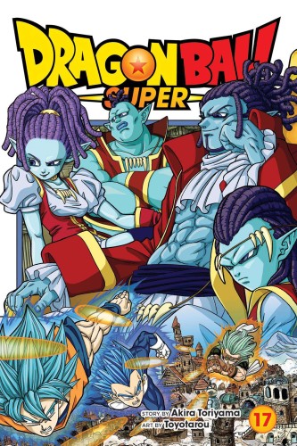 DRAGON BALL SUPER GN VOL 17 (9781974734511)
