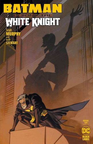 BATMAN BEYOND THE WHITE KNIGHT #6 (OF 8) CVR B FIONA STAPLES VAR