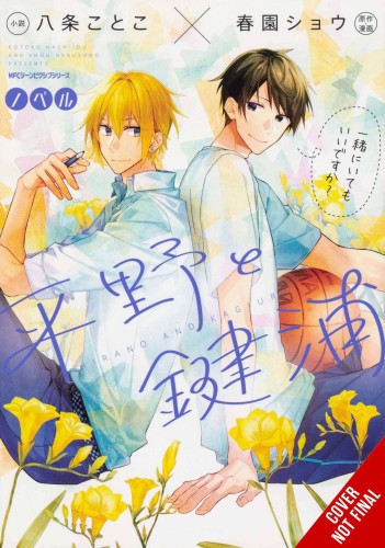 HIRANO & KAGUIRA LIGHT NOVEL SC (9781975352042)