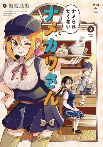 NAMEKAWA SAN WONT TAKE A LICKING GN VOL 03 (9781638588382)
