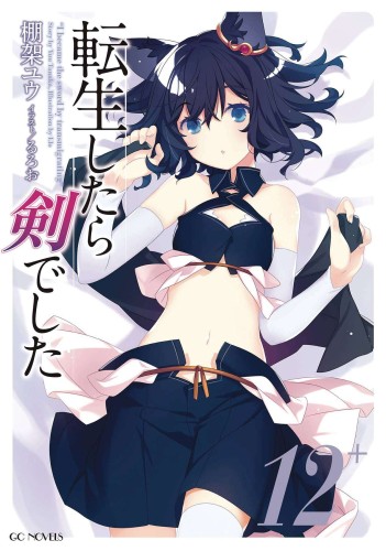 REINCARNATED AS A SWORD ANOTHER WISH GN VOL 04 (9781685794583)