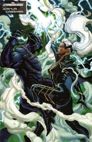 BLACK PANTHER LEGENDS #2 (OF 4) CASSARA STORMBREAKERS VAR