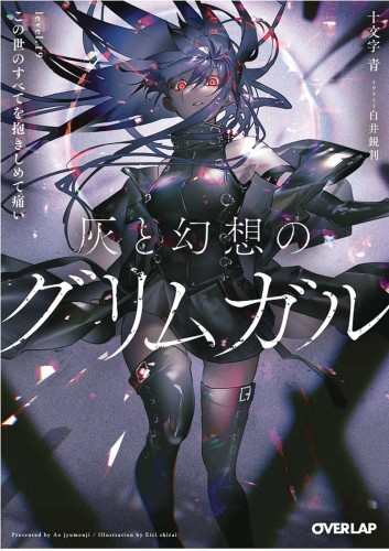 GRIMGAR OF FANTASY & ASH LIGHT NOVEL 19 (9781638586456)