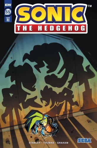 SONIC THE HEDGEHOG #55 CVR C 10 COPY FOURDRAINE INCV