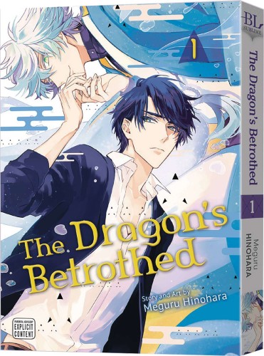 DRAGONS BETROTHED GN VOL 01 (9781974734153)