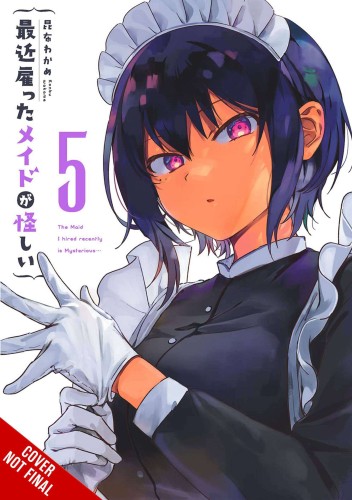 MAID I HIRED RECENTLY IS MYSTERIOUS GN VOL 05 (9781975361334)