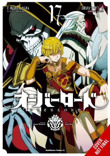 OVERLORD GN VOL 17 (9781975366407)