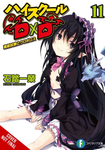HIGH SCHOOL DXD LIGHT NOVEL SC VOL 11 (9781975348168)