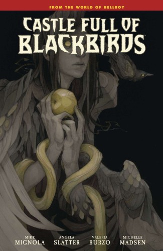 CASTLE FULL OF BLACKBIRDS HC (9781506732787)