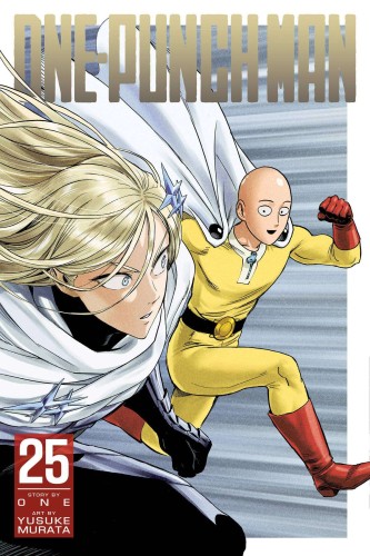 ONE PUNCH MAN GN VOL 25 (9781974736669)