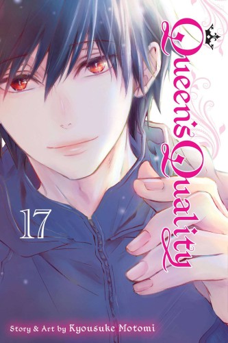 QUEENS QUALITY GN VOL 17 (9781974736942)