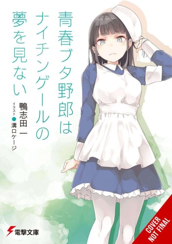 RASCAL DOES NOT DREAM LIGHT NOVEL SC VOL 11 (9781975343507)