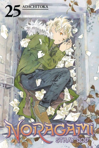 NORAGAMI STRAY GOD GN VOL 26 (9781646517138)