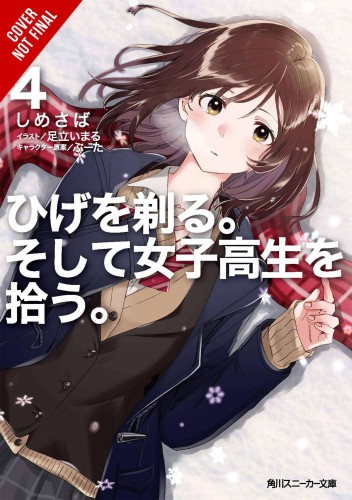 AFTER REJECTED & HIGH SCHOOL RUNAWAY NOVEL SC VOL 04 (9781975344252)