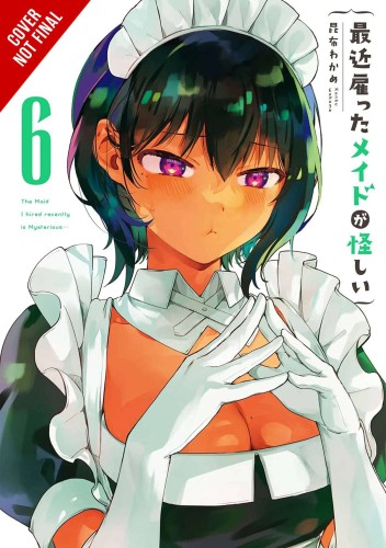 MAID I HIRED RECENTLY IS MYSTERIOUS GN VOL 06 (9781975371999)