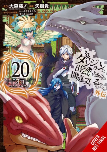 IS WRONG PICK UP GIRLS DUNGEON SWORD ORATORIA GN VOL 20 (9781975367206)