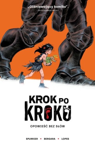 Krok po kroku (9788367725002)