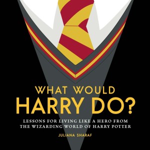 WHAT WOULD HARRY DO LESSONS WIZARDING WORLD HC