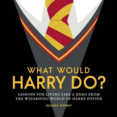 WHAT WOULD HARRY DO LESSONS WIZARDING WORLD HC (9781956403275)