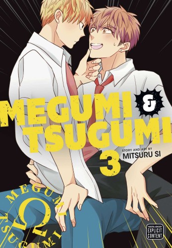 MEGUMI & TSUGUMI GN VOL 03 (9781974738892)